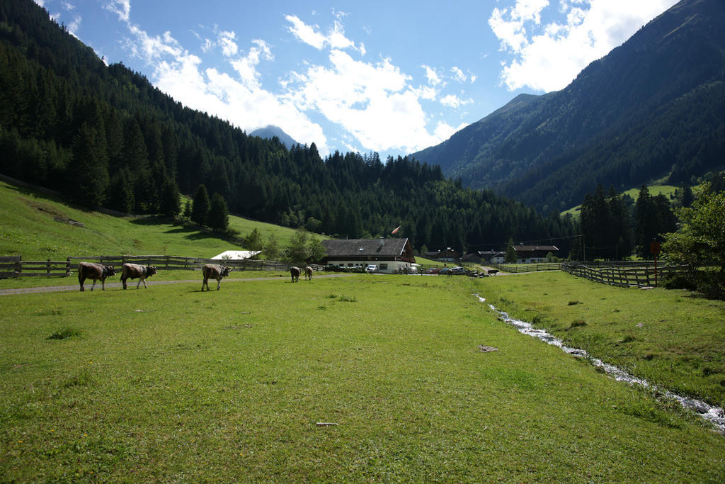 Doadlerhof Vila Neustift im Stubaital Exterior foto